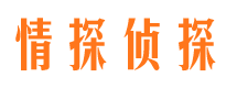 抚顺找人公司